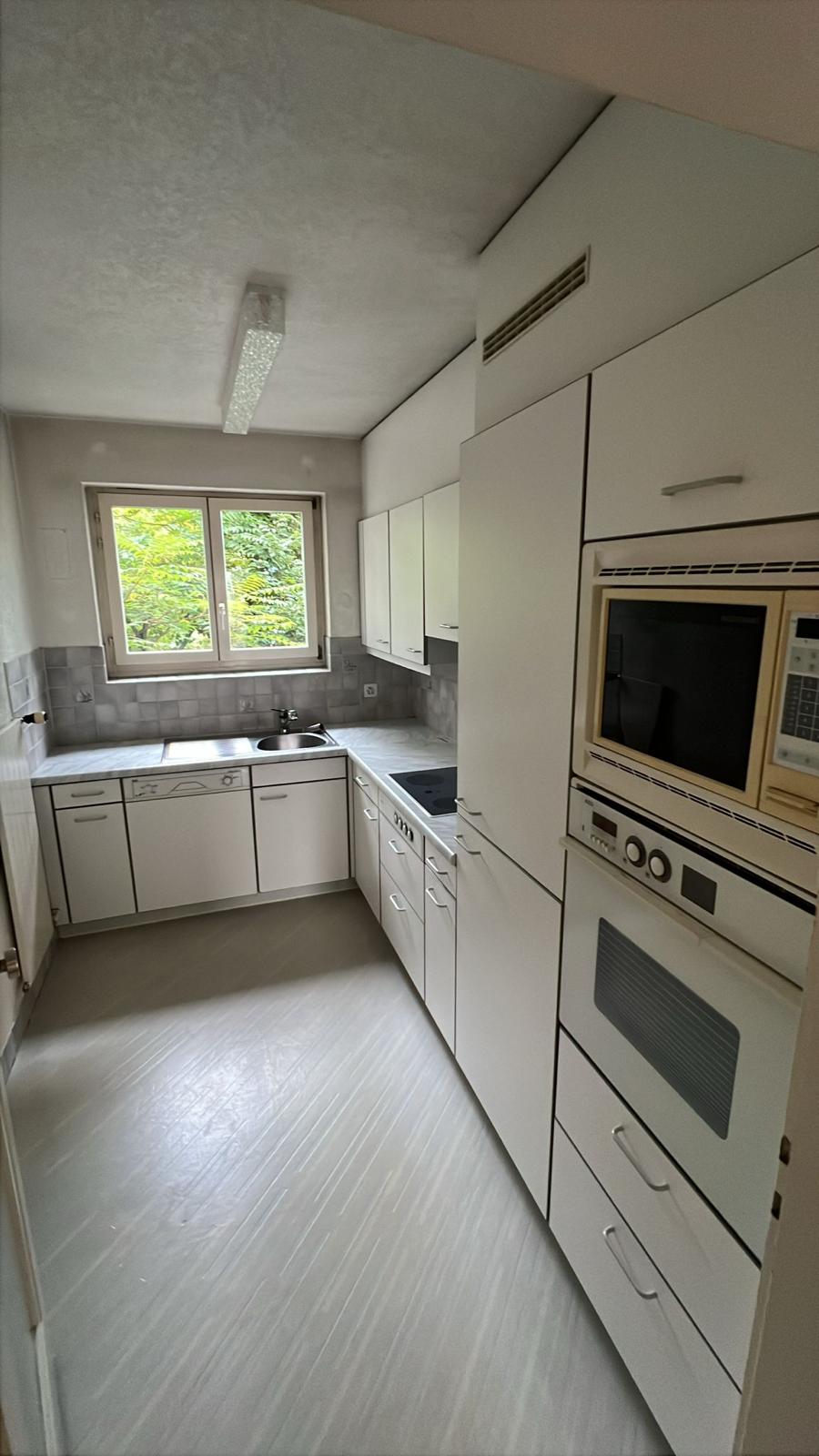 WhatsApp Image 2026-02-16 at 18.36.32