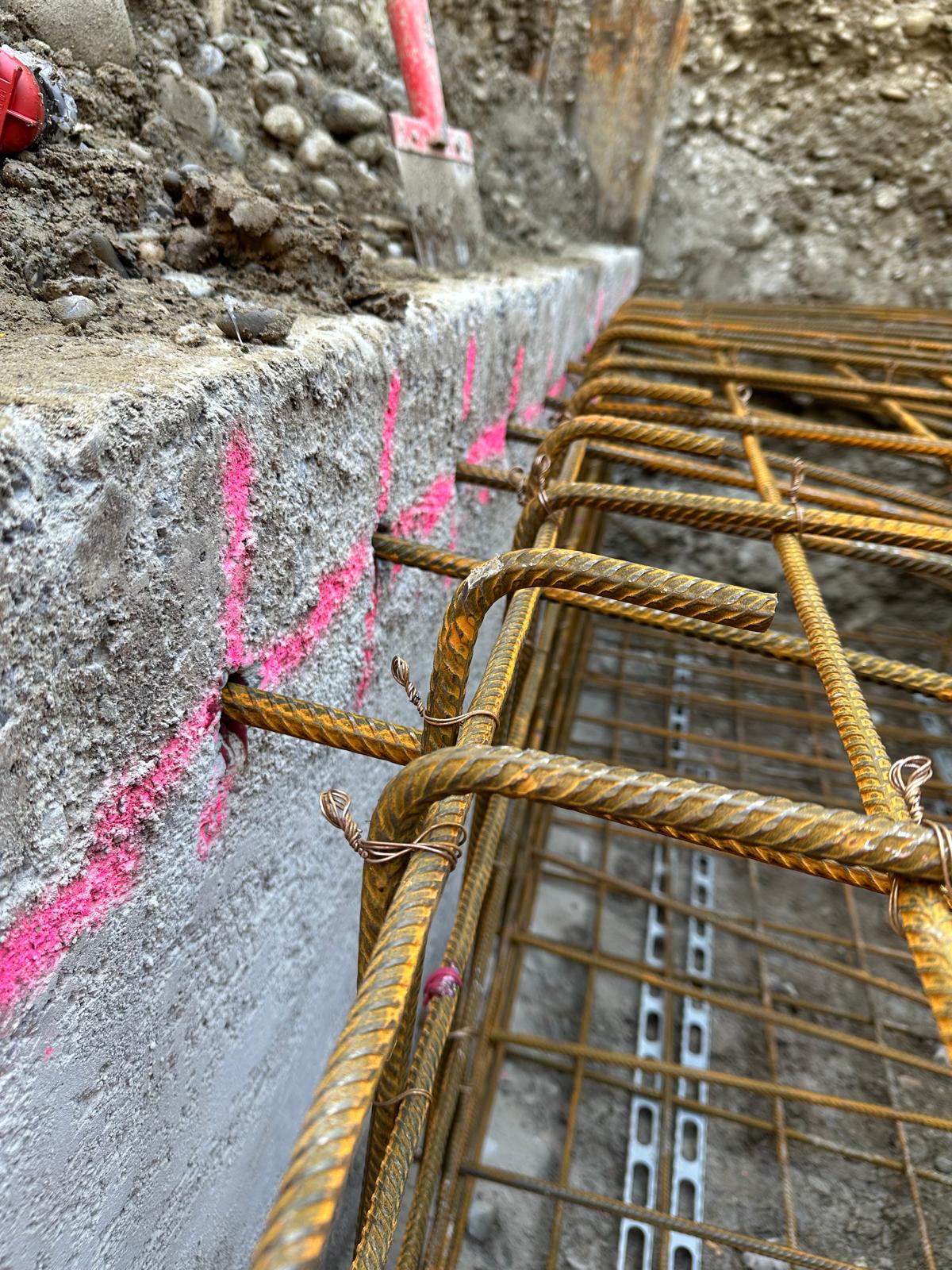 WhatsApp Image 2026-02-16 at 18.37.51