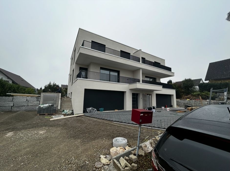 WhatsApp Image 2026-02-16 at 18.54.13