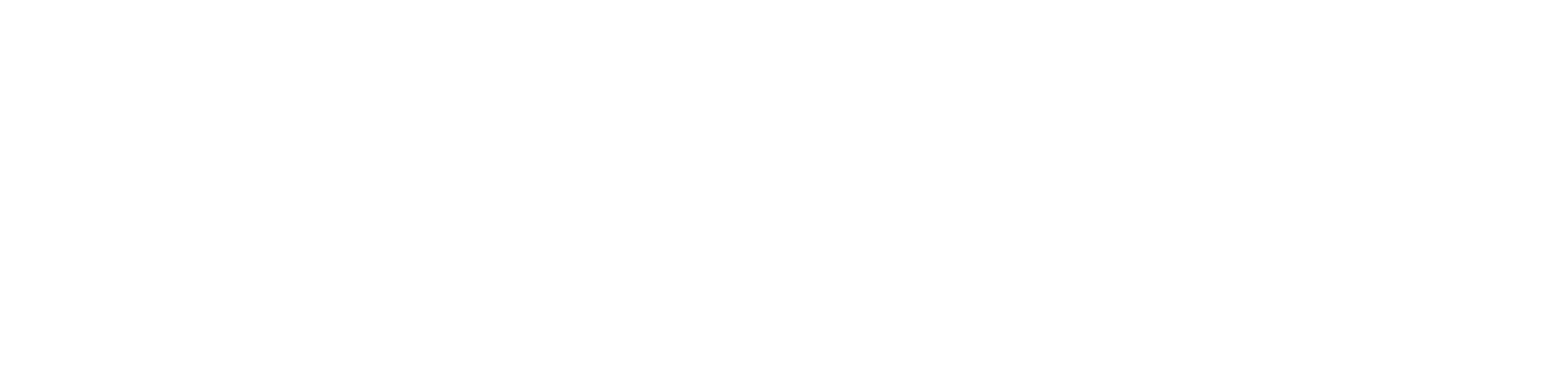 Wacker_Neuson_Group_Logo_white_transparent